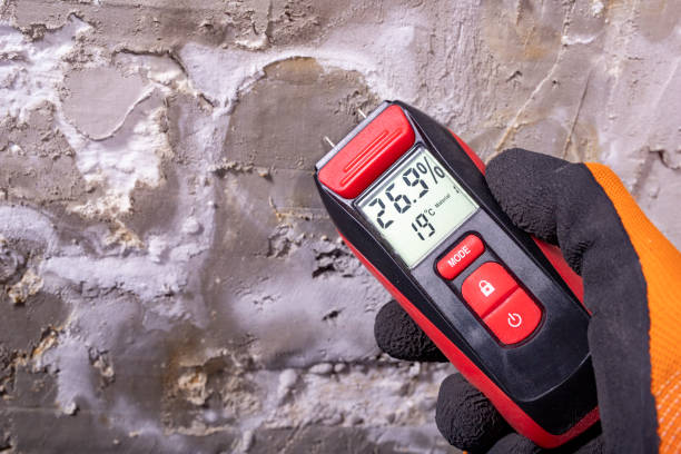 Best Residential Mold Remediation in Olivette, MO