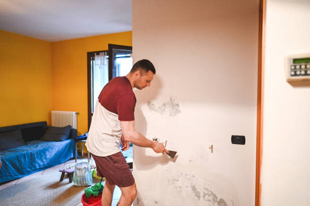 Best Post-Flood Mold Remediation in Olivette, MO